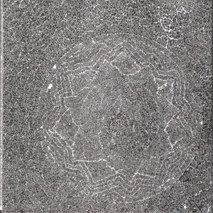 Poppy Nogood and the phantom band all night flight